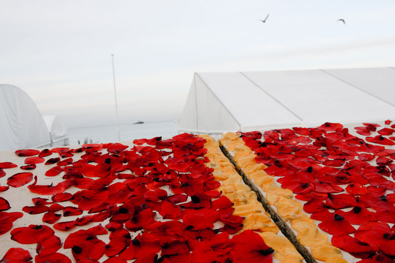 tapis_rouge_collectif_etc_06