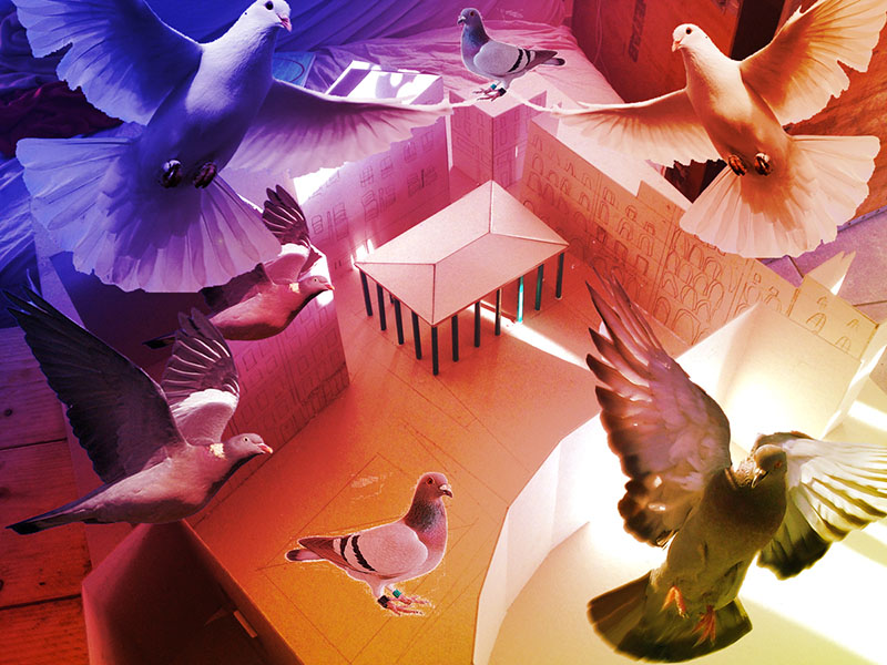 collectif-etc-halle-pigeon2