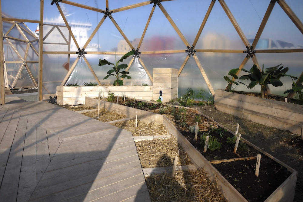 Collectif_Etc_Kroll_Dunkerque_mole_beta-vulgaris_16