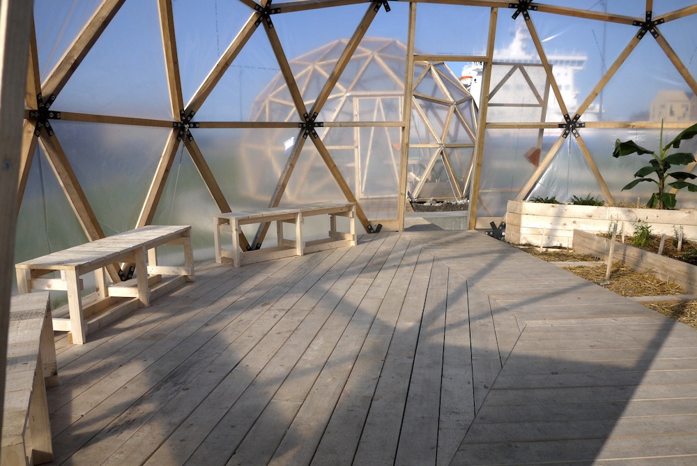 Collectif_Etc_Kroll_Dunkerque_mole_beta-vulgaris_17