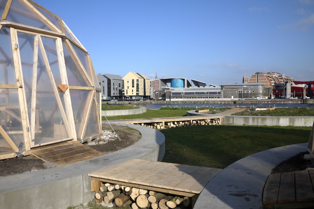 Collectif_Etc_Kroll_Dunkerque_mole_beta-vulgaris_18