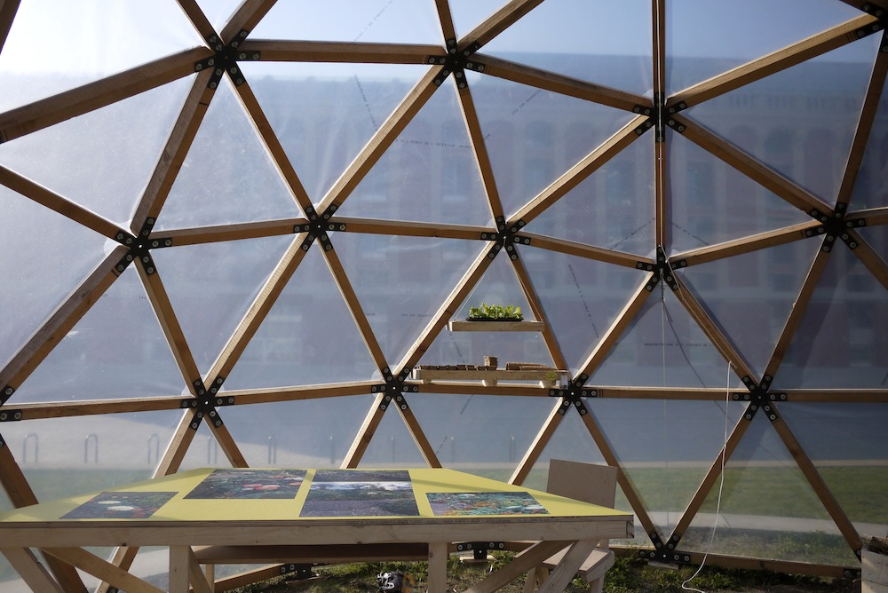 Collectif_Etc_Kroll_Dunkerque_mole_beta-vulgaris_19