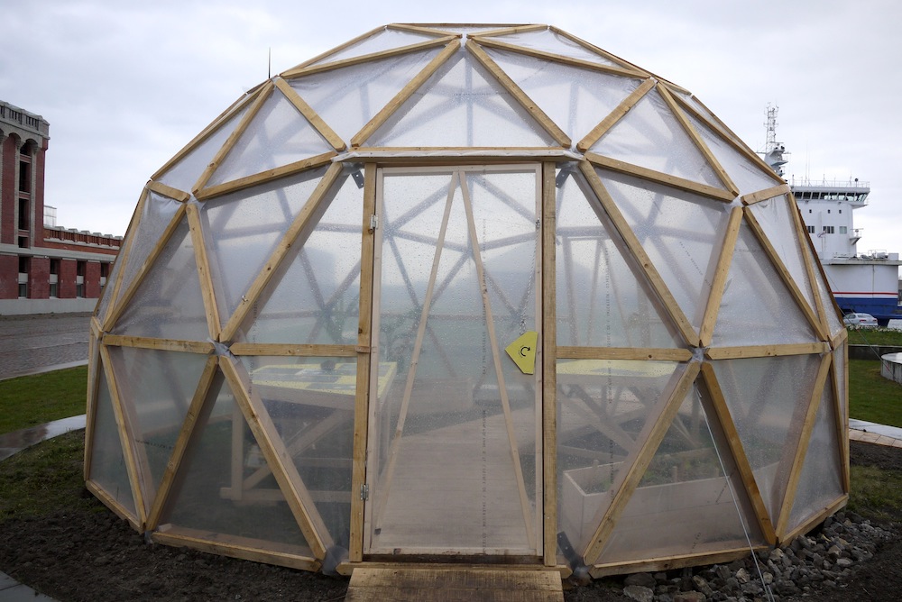 Collectif_Etc_Kroll_Dunkerque_mole_beta-vulgaris_20