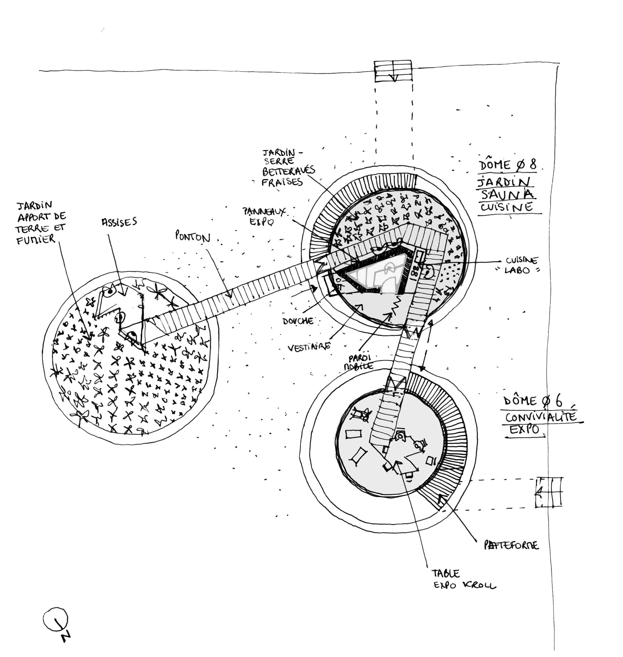 Collectif_Etc_Kroll_Dunkerque_mole_beta-vulgaris_schema_21